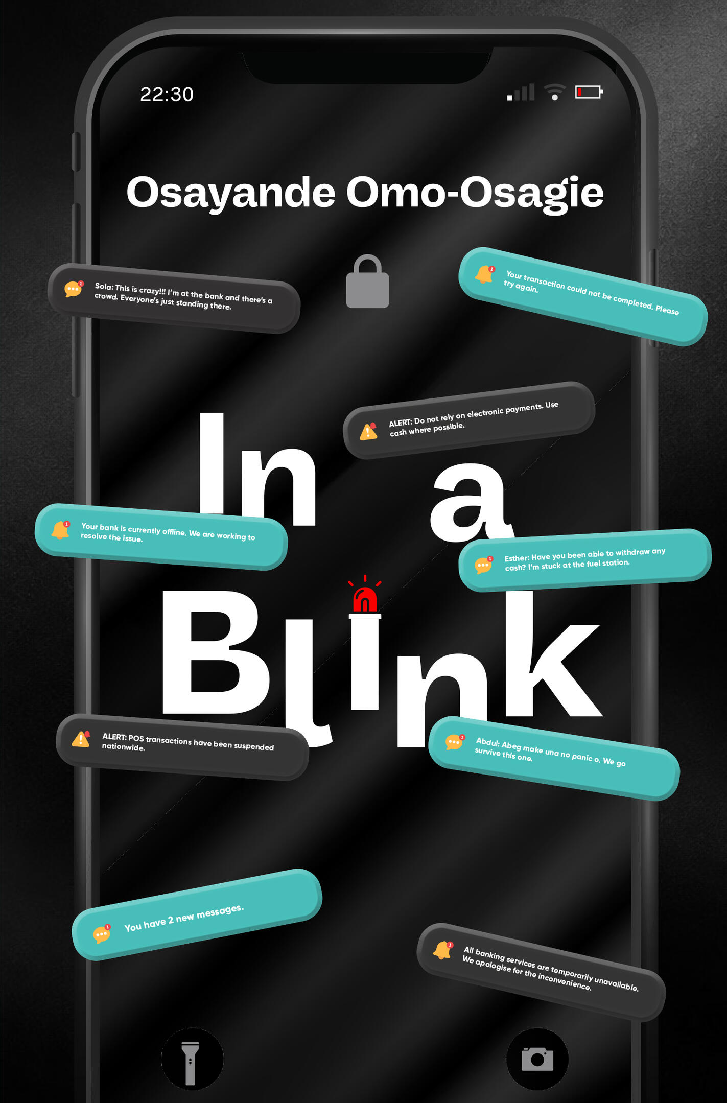 In a Blink cover